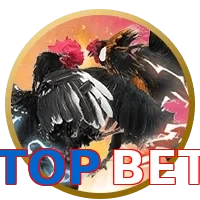 TOPBET